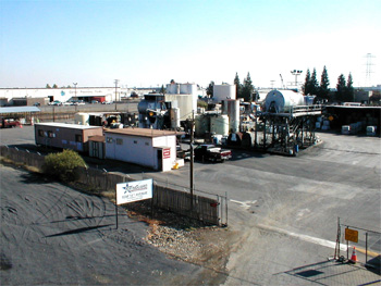 Raynguard Plant